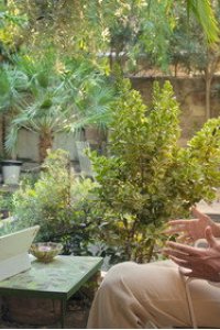 Zeytin Agaci – Season 3 Episode 8: Episode 8