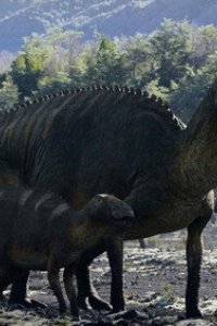 Surviving Earth Season 1 Episode 3