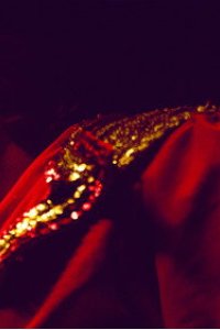Dark Side of the Ring Season 7 Episode 7