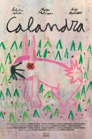 Calandra