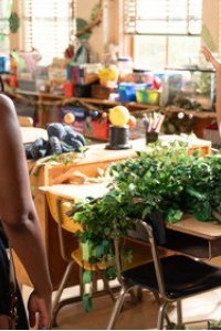 Abbott Elementary – Season 6 Episode 1: Jungle Classroom