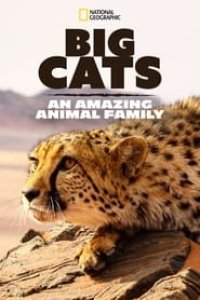 Big Cats: An Amazing Animal Family Season 1 Episode 1