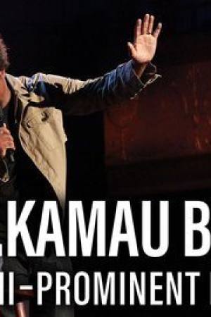 W. Kamau Bell: Semi-Promenint Negro