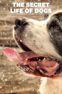 Secret Life of Dogs