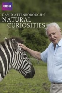David Attenborough's Natural Curiosities Season 2 Episode 7