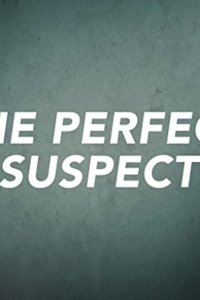 The Perfect Suspect