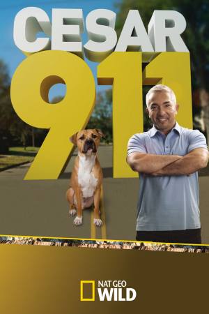 Cesar 911