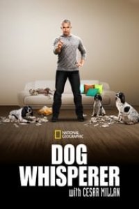 Dog Whisperer Season 4 Episode 37