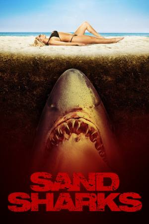 Sand Sharks