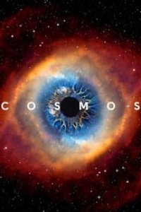 Cosmos Season 1 Episode 12