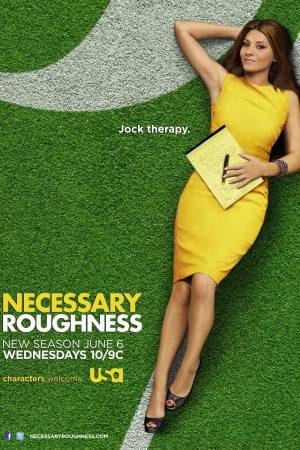 Necessary Roughness