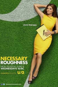 Necessary Roughness
