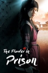 The Flower in Prison Season 1 Episode 11