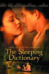 The Sleeping Dictionary