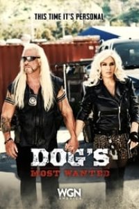 Dog’s Most Wanted Season 1 Episode 1