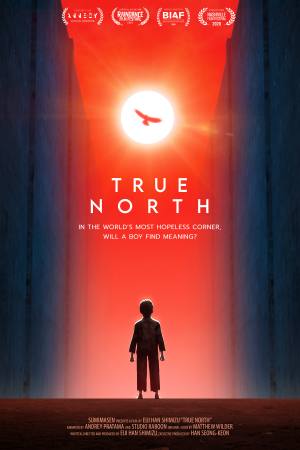 True North