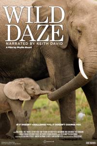 Wild Daze