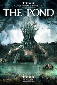 The Pond