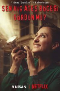 Have You Ever Seen Fireflies?