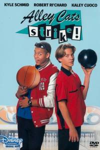 Alley Cats Strike