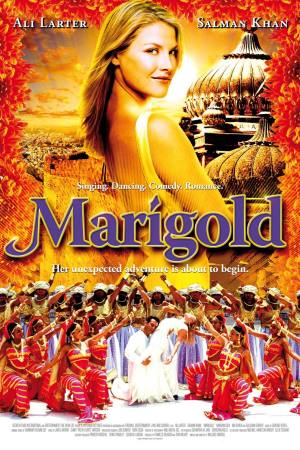 Marigold