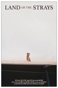 Land of the Strays