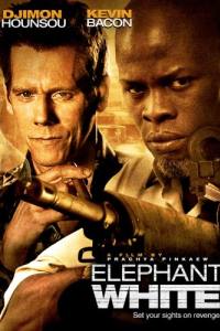 Elephant White