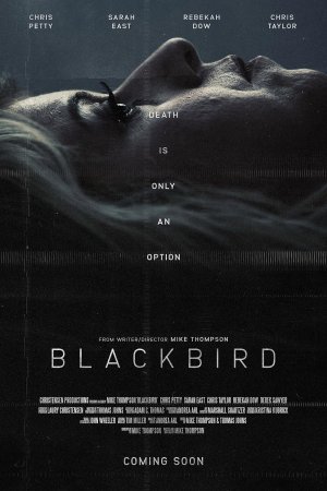 Blackbird