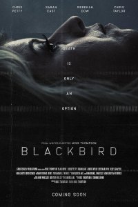 Blackbird