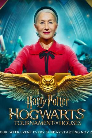 Harry Potter: Hogwarts Tournament of Houses