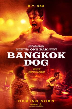 Bangkok Dog
