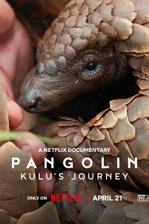 Pangolin: Kulu’s Journey