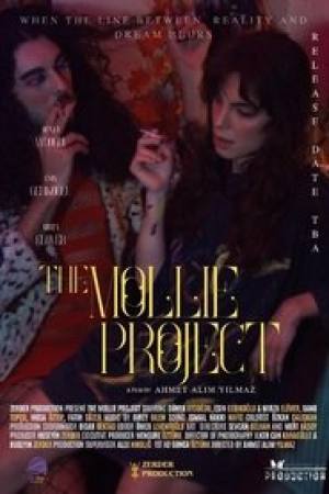 The Mollie Project