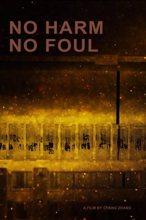 No Harm No Foul