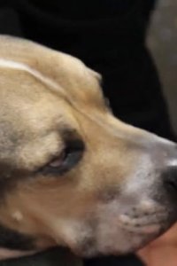 Last Minutes with ODEN