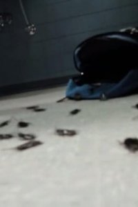 R.L. Stine’s the Haunting Hour – S02E03 – Swarmin’ Norman