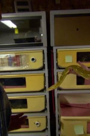 Stan Lee's Superhumans