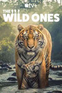 The Wild Ones – S01E04 – Leopards