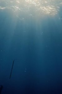 North of North – S01E01 – Top of the World