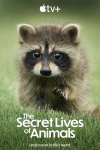 The Secret Lives of Animals – S01E08 – Finding a Partner