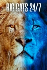 Big Cats 24/7 – S01E02 – Episode #1.2
