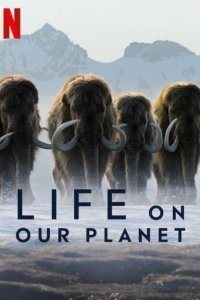 Life on Our Planet – S01E01 – The Rules of Life