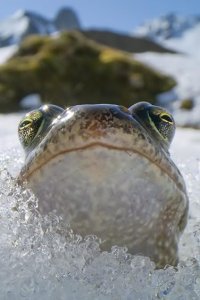 Planet Earth III – S2023E06 – Extremes