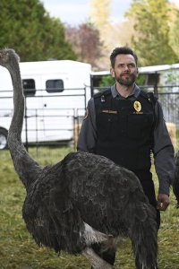 Animal Control – S01E01 – Weasels and Ostriches