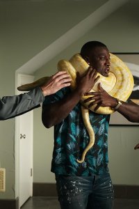 Animal Control – S01E02 – Rabbits and Pythons