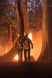 Fire Country – S01E01 – Pilot