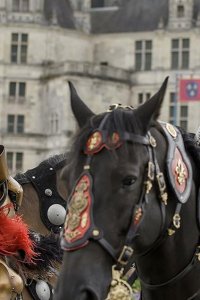 The Serpent Queen – S01E06 – The Last Joust