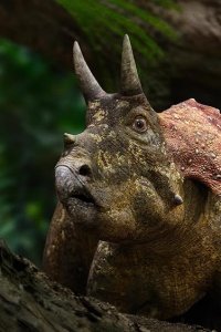 Prehistoric Planet – S01E05 – Forests