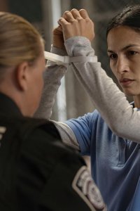 The Cleaning Lady – S01E05 – The Icebox