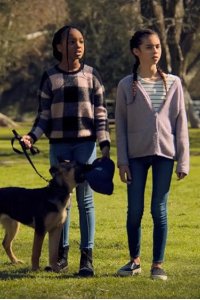 Puppy Place – S01E04 – Scout